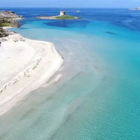 Appartement La Vela